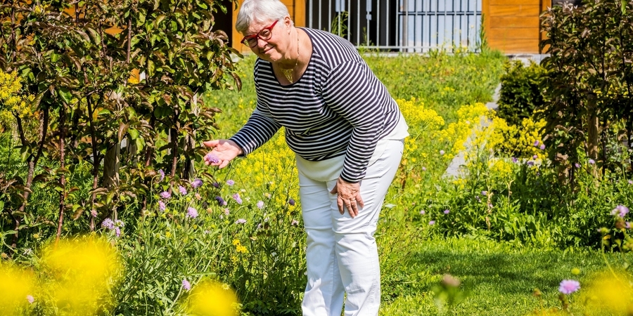 Vrouw bekijkt haar verschillende planten in de tuin Vrouw bekijkt haar verschillende planten in de tuin