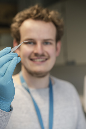 Onderzoeker Bert Van den Bogerd houdt met een pincet een klein vliesje vast. Onderzoeker Bert Van den Bogerd houdt met een pincet een klein vliesje vast.