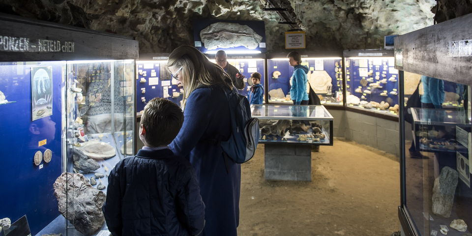 Natuurhistorisch Museum Boekenberg