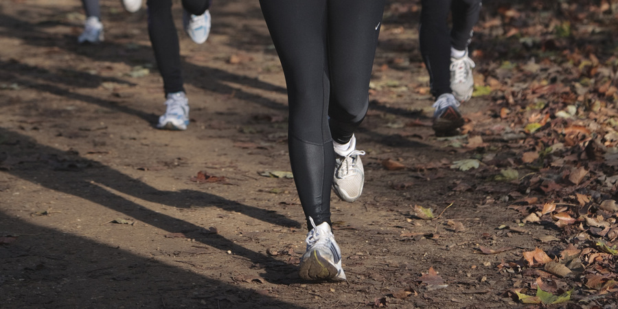 Lopers in het Te Boelaerpark