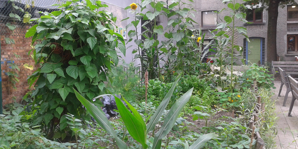 Samentuin de Soeptuin Centrum de Wijk
