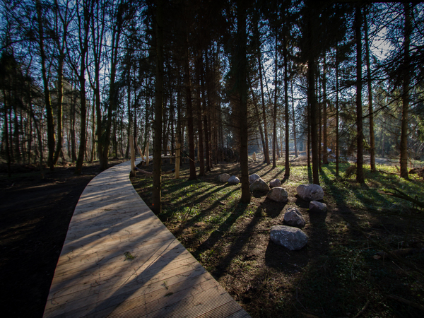 Speelaanleidingen langs het cirkelpad in het speelbos Park Groot Schijn