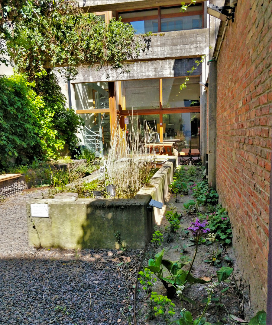 Zicht op het betonnen waterelement en de schaduwplantjes langs de muur.