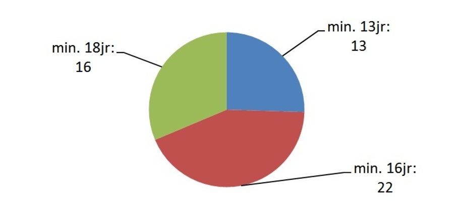 Taartdiagram met resultaat. minimum 18 jaar: 16; minimum 16 jaar: 22; minimum 13 jaar: 13 Taartdiagram met resultaat. minimum 18 jaar: 16; minimum 16 jaar: 22; minimum 13 jaar: 13