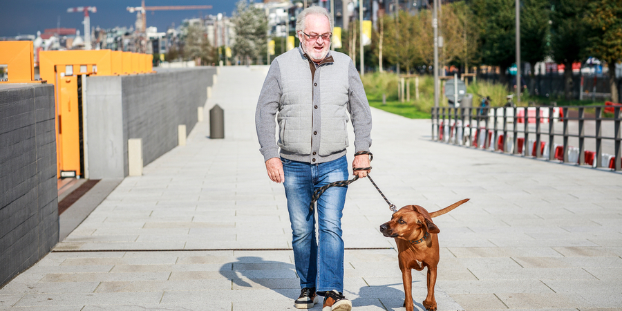 Oudere man wandelt man door stadscentrum Antwerpen met zijn hond