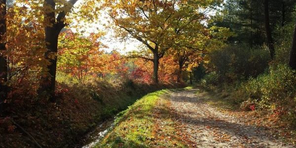 Wandelpad Eekhoorn